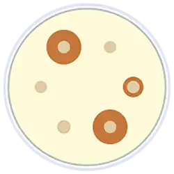 Klinik mikrobiyoloji