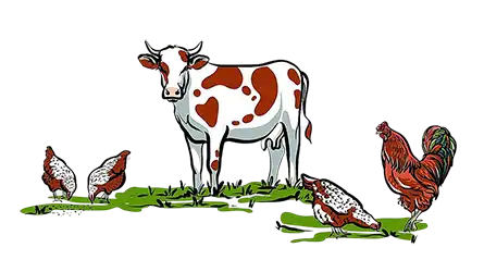 Veteriner mikrobiyoloji