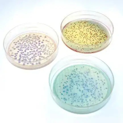 Membran filtrasyon besiyerleri