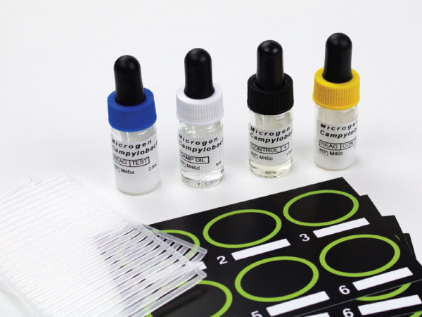 Microgen™ Campylobacter spp